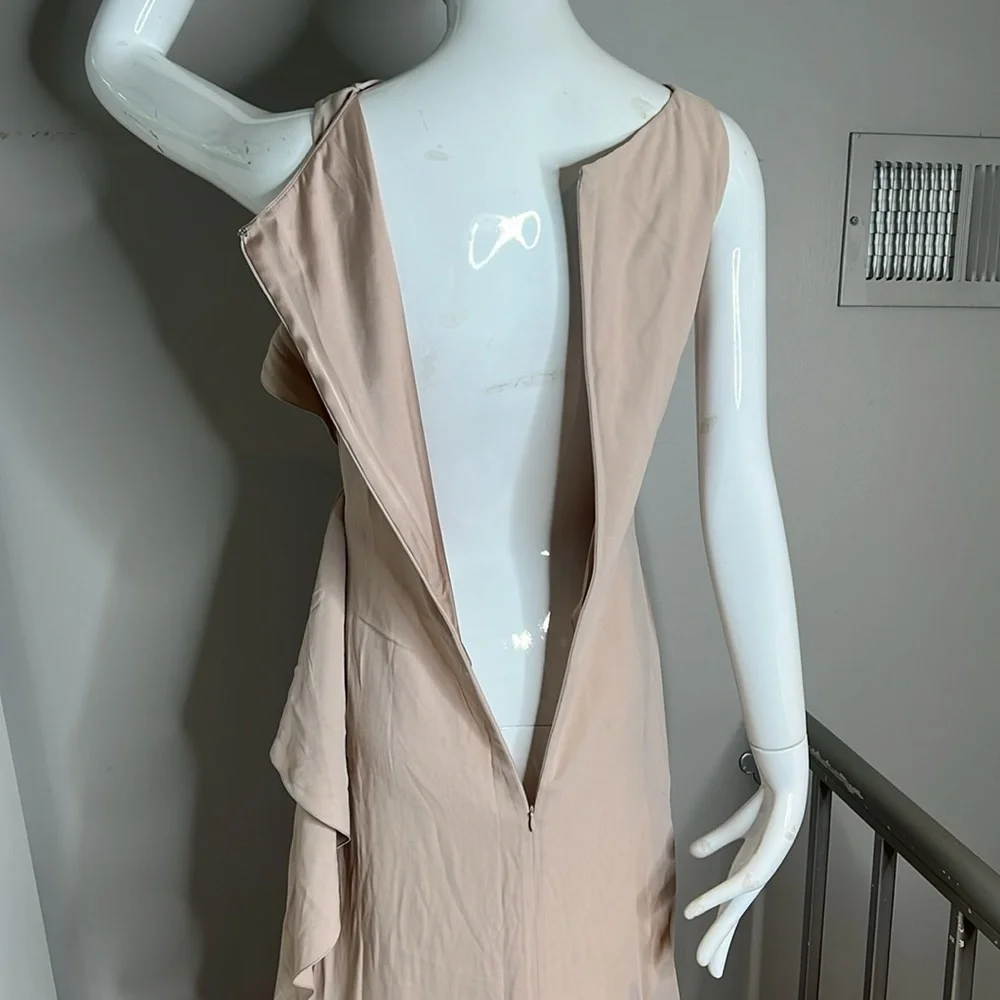 Valentino Sz 6 Silk Crepe Dusty Rose Sleeveless Long Gown - Picture 9 of 14
